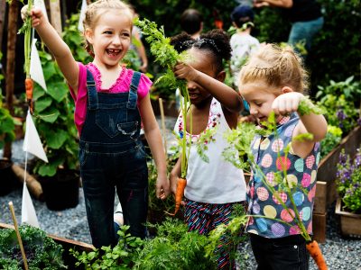 Group of kindergarten kids learning gardening outdoors